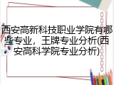 西安高新科技职业学院有哪些专业，王牌专业分析(西安高科学院专业分析)