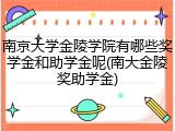 南京大学金陵学院有哪些奖学金和助学金呢(南大金陵奖助学金)
