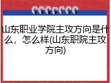 山东职业学院主攻方向是什么，怎么样(山东职院主攻方向)