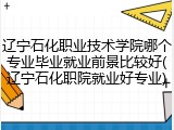 辽宁石化职业技术学院哪个专业毕业就业前景比较好(辽宁石化职院就业好专业)