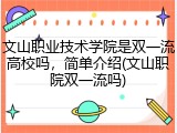 文山职业技术学院是双一流高校吗，简单介绍(文山职院双一流吗)