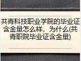 共青科技职业学院的毕业证含金量怎么样，为什么(共青职院毕业证含金量)