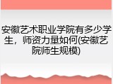 安徽艺术职业学院有多少学生，师资力量如何(安徽艺院师生规模)