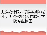 大连软件职业学院有哪些专业，几个校区(大连软件学院专业校区)