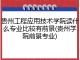 贵州工程应用技术学院读什么专业比较有前景(贵州学院前景专业)