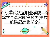 广东肇庆航空职业学院一年奖学金最多能拿多少(肇庆航院最高奖学金)