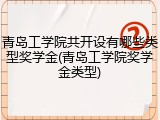 青岛工学院共开设有哪些类型奖学金(青岛工学院奖学金类型)
