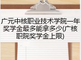 广元中核职业技术学院一年奖学金最多能拿多少(广核职院奖学金上限)