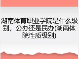 湖南体育职业学院是什么级别，公办还是民办(湖南体院性质级别)