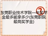东莞职业技术学院一年奖学金最多能拿多少(东莞职院最高奖学金)