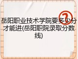 岳阳职业技术学院要多少分才能进(岳阳职院录取分数线)