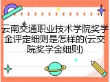 云南交通职业技术学院奖学金评定细则是怎样的(云交院奖学金细则)