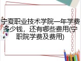 宁夏职业技术学院一年学费多少钱，还有哪些费用(宁职院学费及费用)