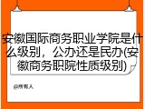 安徽国际商务职业学院是什么级别，公办还是民办(安徽商务职院性质级别)