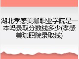 湖北孝感美珈职业学院是一本吗录取分数线多少(孝感美珈职院录取线)