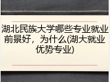 湖北民族大学哪些专业就业前景好，为什么(湖大就业优势专业)