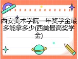 西安美术学院一年奖学金最多能拿多少(西美最高奖学金)