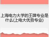 上海电力大学的王牌专业是什么(上电大优势专业)