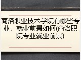 商洛职业技术学院有哪些专业，就业前景如何(商洛职院专业就业前景)