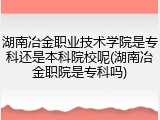 湖南冶金职业技术学院是专科还是本科院校呢(湖南冶金职院是专科吗)
