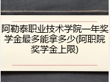 阿勒泰职业技术学院一年奖学金最多能拿多少(阿职院奖学金上限)