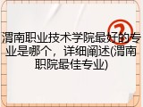 渭南职业技术学院最好的专业是哪个，详细阐述(渭南职院最佳专业)