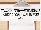 广西艺术学院一年财政拨款大概多少钱(广艺年财政拨款)