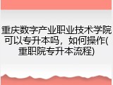 重庆数字产业职业技术学院可以专升本吗，如何操作(重职院专升本流程)