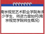 南京视觉艺术职业学院有多少学生，师资力量如何(南京视觉学院师生概况)