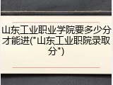 山东工业职业学院要多少分才能进("山东工业职院录取分")