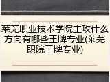 莱芜职业技术学院主攻什么方向有哪些王牌专业(莱芜职院王牌专业)