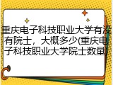 重庆电子科技职业大学有没有院士，大概多少(重庆电子科技职业大学院士数量)