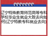 辽宁特殊教育师范高等专科学校毕业生就业大致去向如何(辽宁特教专科就业去向)