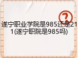 遂宁职业学院是985还是211(遂宁职院是985吗)