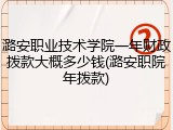 潞安职业技术学院一年财政拨款大概多少钱(潞安职院年拨款)