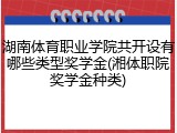 湖南体育职业学院共开设有哪些类型奖学金(湘体职院奖学金种类)
