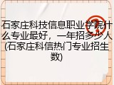 石家庄科技信息职业学院什么专业最好，一年招多少人(石家庄科信热门专业招生数)