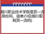 铜川职业技术学院是双一流高校吗，简单介绍(铜川职院双一流吗)