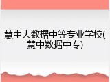 慧中大数据中等专业学校(慧中数据中专)
