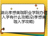 湖北孝感美珈职业学院办理入学有什么攻略没(孝感美珈入学攻略)