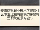安徽商贸职业技术学院读什么专业比较有前景("安徽商贸职院前景专业")