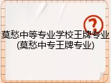 莫愁中等专业学校王牌专业(莫愁中专王牌专业)