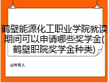 鹤壁能源化工职业学院就读期间可以申请哪些奖学金(鹤壁职院奖学金种类)