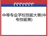 中等专业学校技能大赛(中专技能赛)