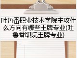 吐鲁番职业技术学院主攻什么方向有哪些王牌专业(吐鲁番职院王牌专业)