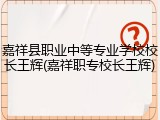嘉祥县职业中等专业学校校长王辉(嘉祥职专校长王辉)