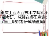 重庆工业职业技术学院能不能考研，成绩在哪里查询(重工职院考研成绩查询)