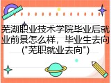 芜湖职业技术学院毕业后就业前景怎么样，毕业生去向("芜职就业去向")