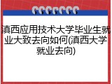 滇西应用技术大学毕业生就业大致去向如何(滇西大学就业去向)