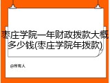 枣庄学院一年财政拨款大概多少钱(枣庄学院年拨款)